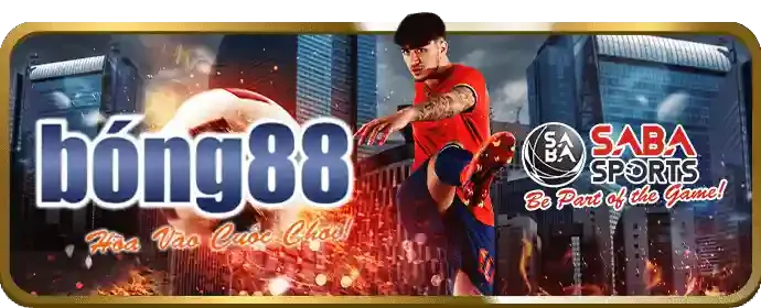 Ưu Đãi Hàng Ngày Ball8